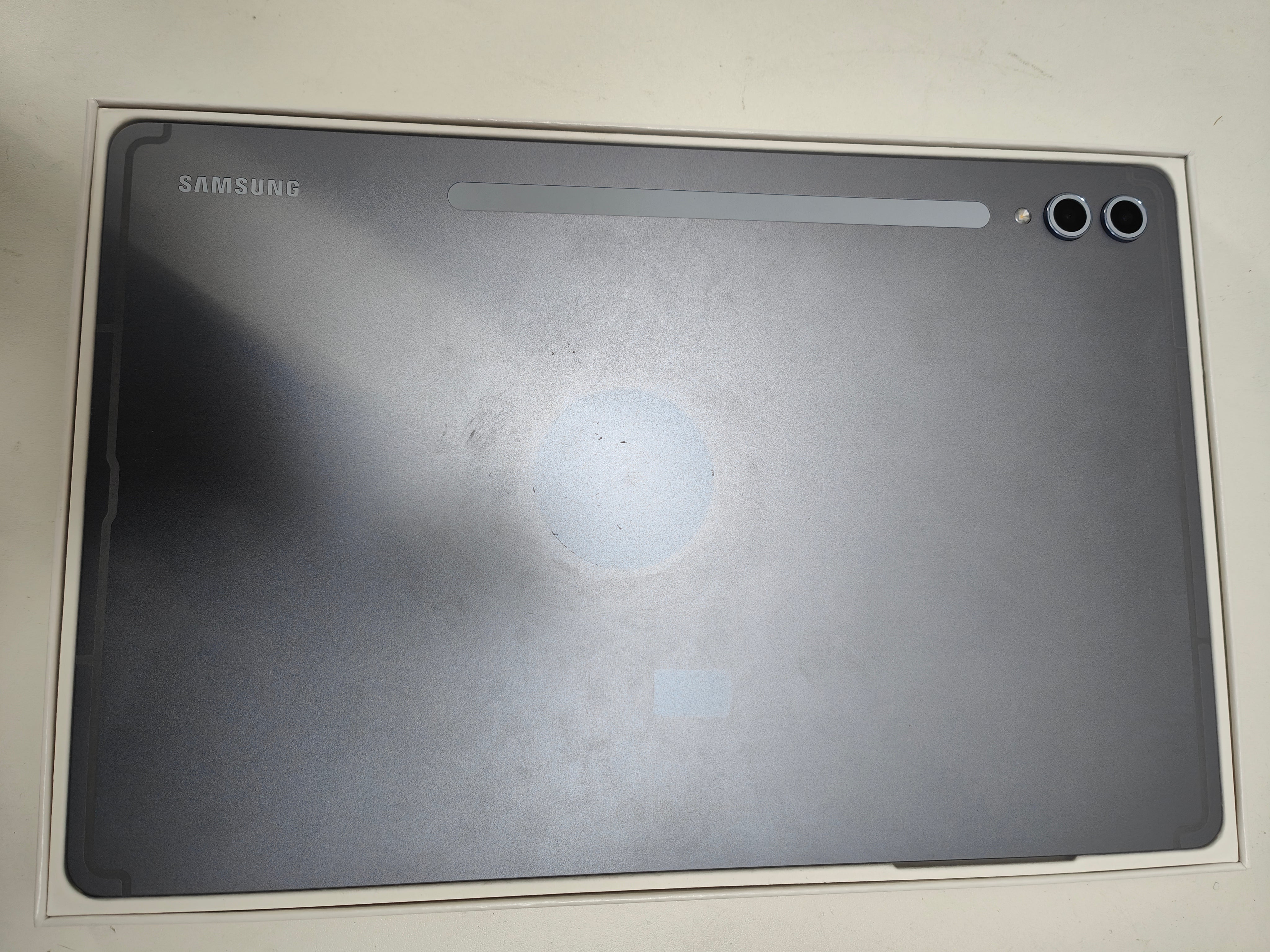 Samsung Galaxy Tab S10 Plus 12,4 Zoll 256GB Wifi Blau