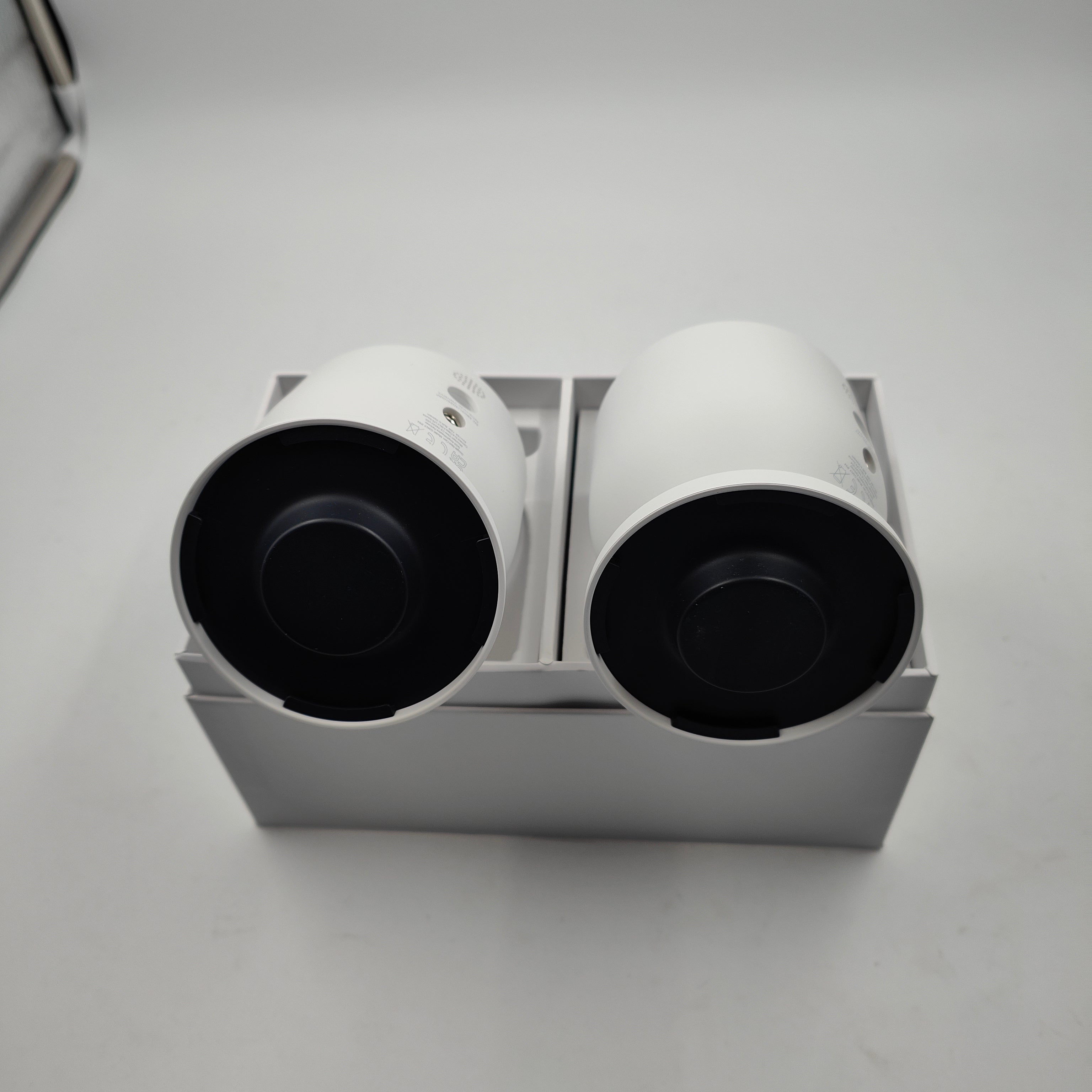 Google Nest Cam Duo Pack