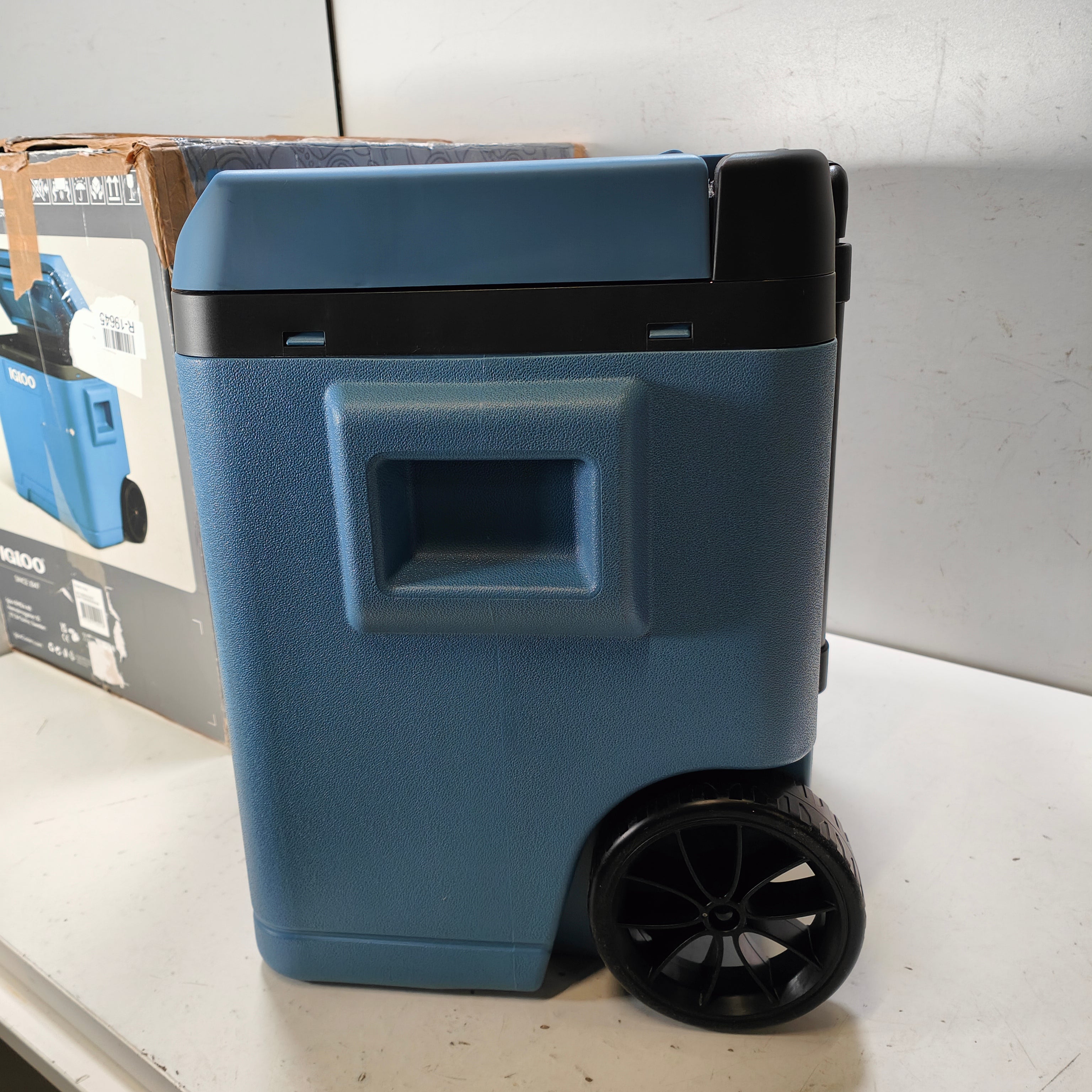 Igloo IE42