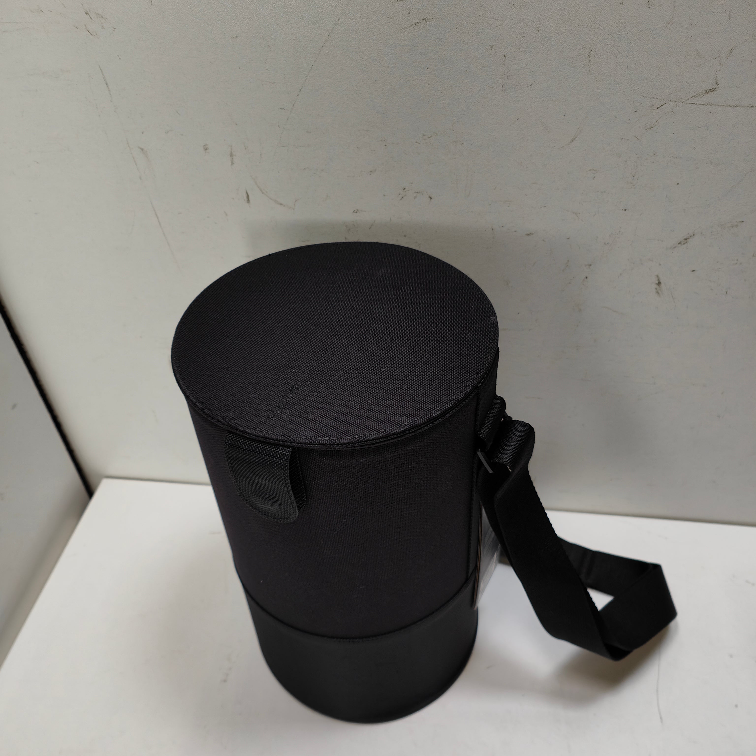 Sonos Move travel bag